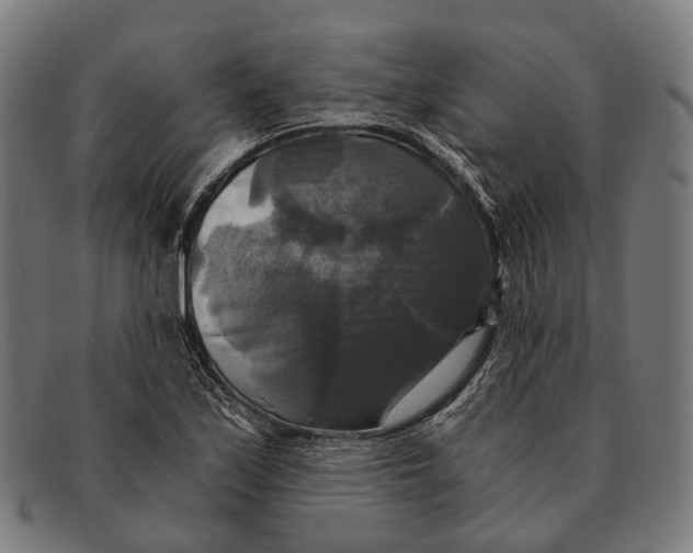 X0000091481171200709131806