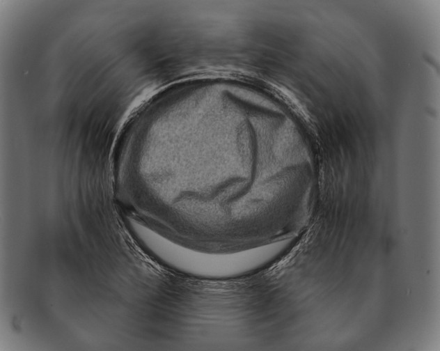 X0000091481172200709131806