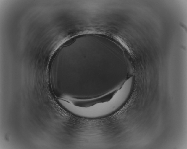 X0000091481173200709131806