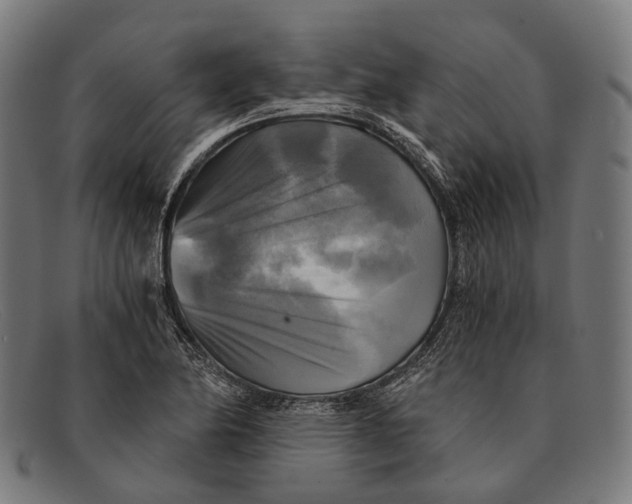 X0000091481174200709131806