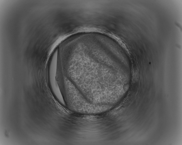 X0000091481175200709131806