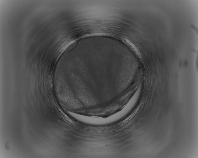 X0000091481177200709131806