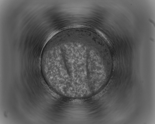 X0000091481178200709131806