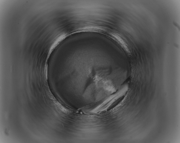 X0000091481180200709131806