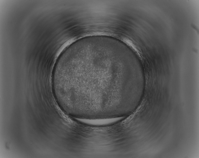 X0000091481181200709131806