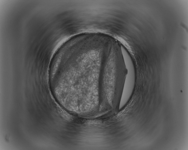 X0000091481183200709131806