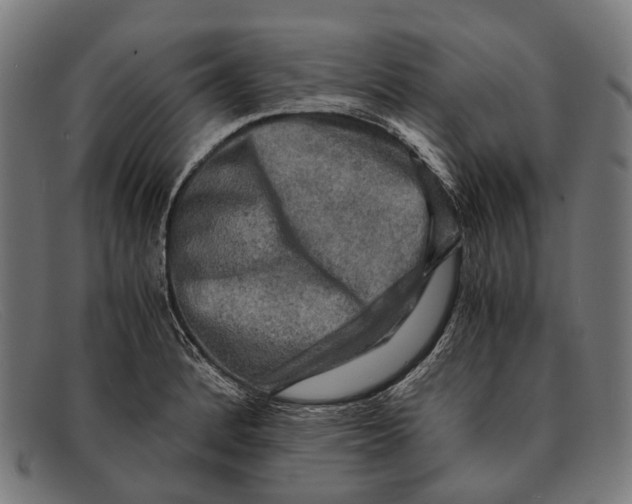 X0000091481184200709131806