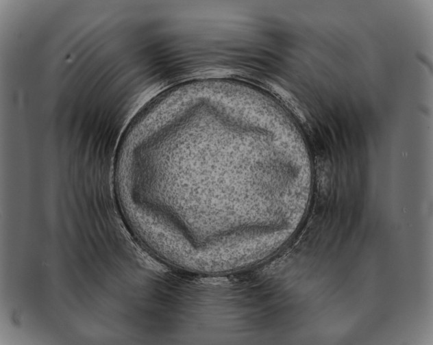 X0000091481186200709131806