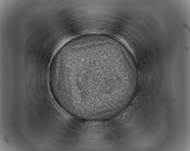 X0000091481187200709131806