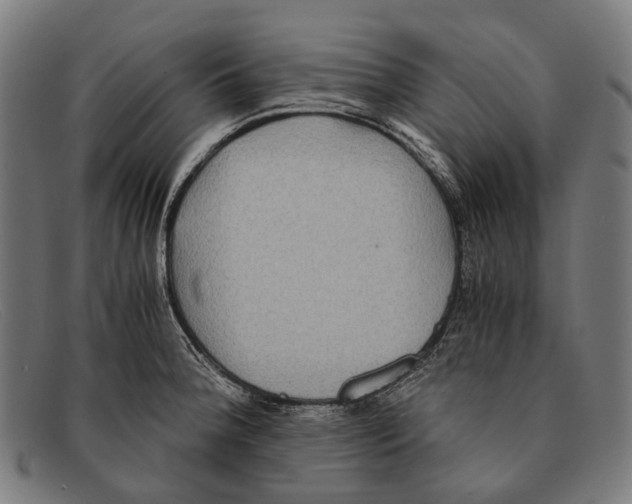 X0000091481188200709131806