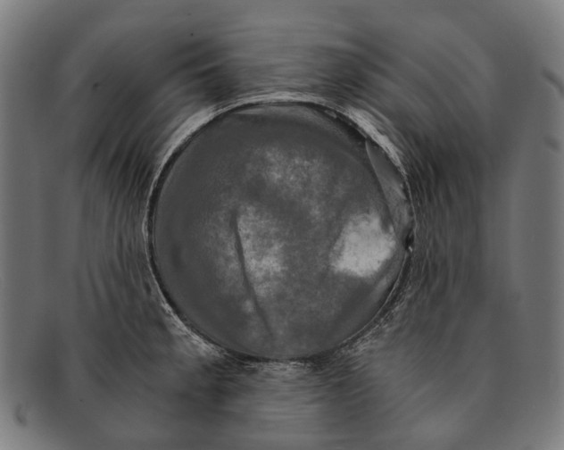 X0000091481189200709131806