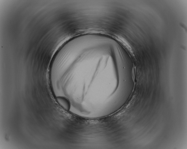 X0000091481190200709131806