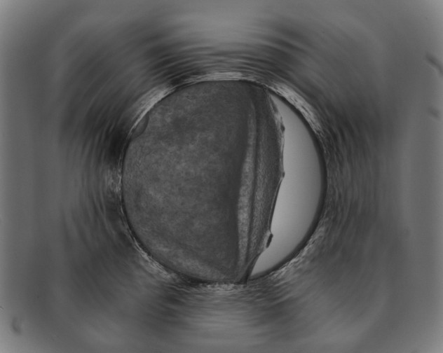 X0000091481193200709131806