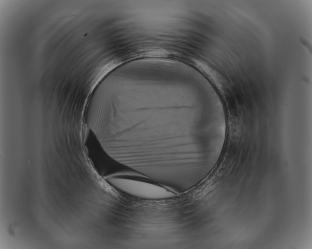 X0000091481194200709131806