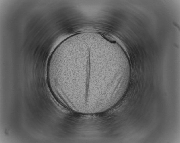 X0000091481195200709131806