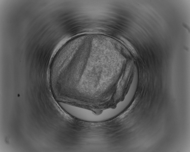 X0000091481196200709131806