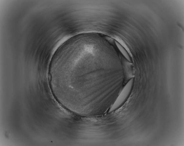 X0000091481197200709131806