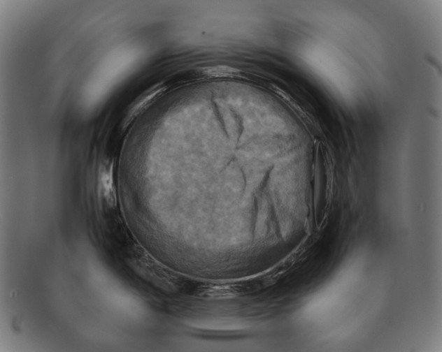 X0000091481198200709131806