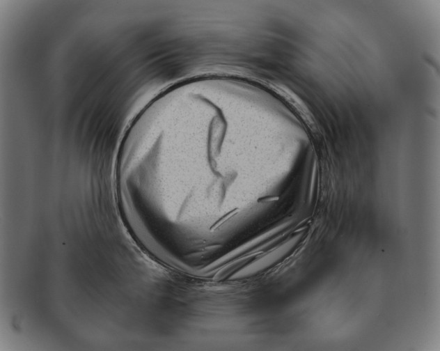 X0000091481199200709131806