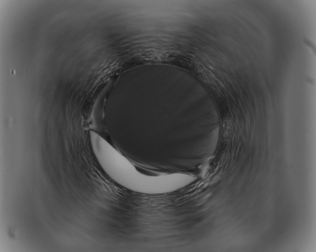 X0000091481202200709131805