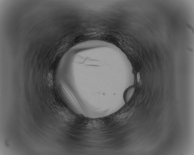 X0000091481203200709131805