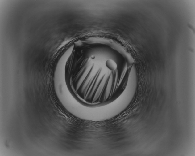 X0000091481206200709131805