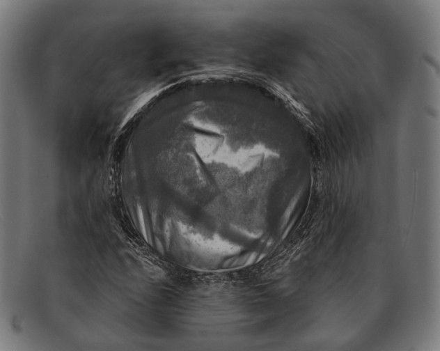 X0000091481208200709131805