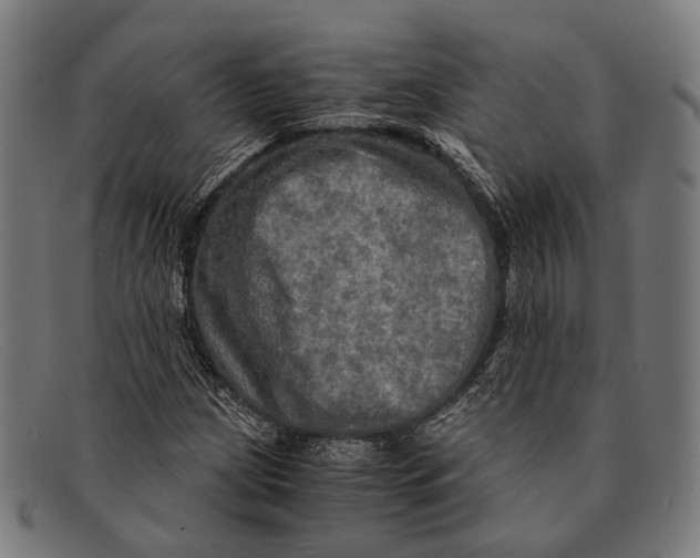 X0000091481209200709131805