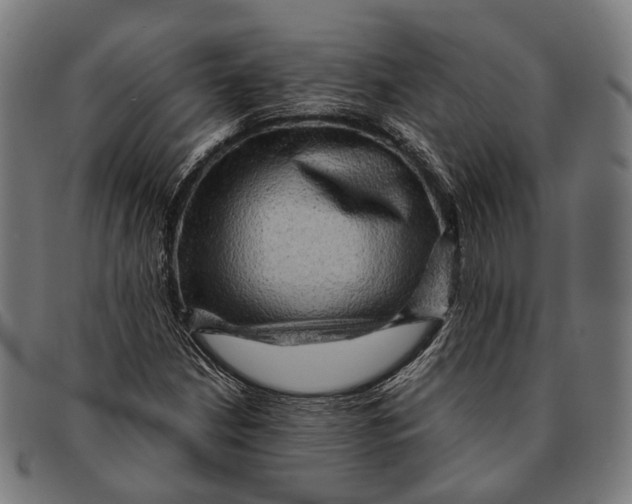 X0000091481210200709131805