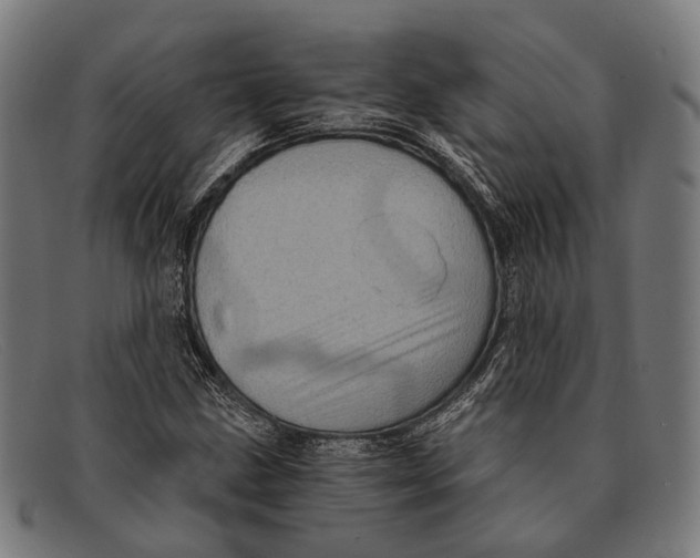 X0000091481211200709131805