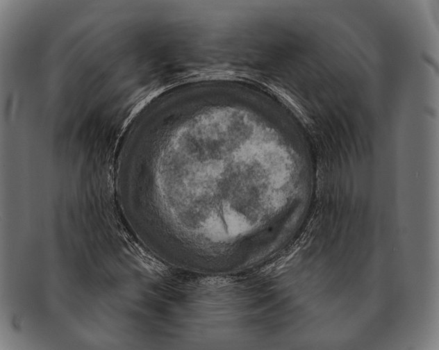 X0000091481212200709131805