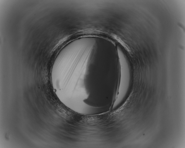 X0000091481213200709131805