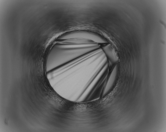 X0000091481214200709131805