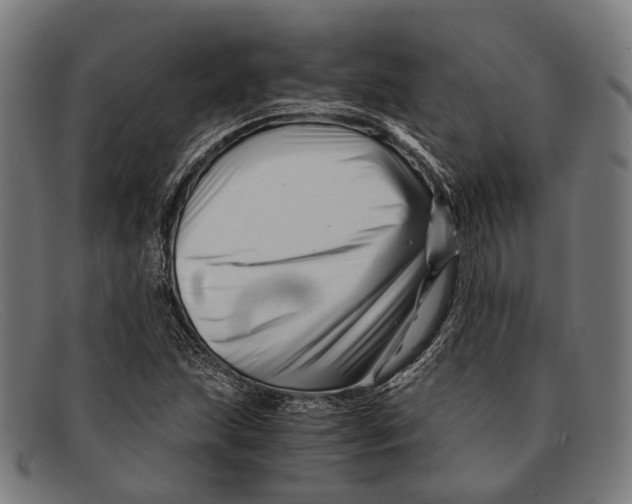 X0000091481215200709131805