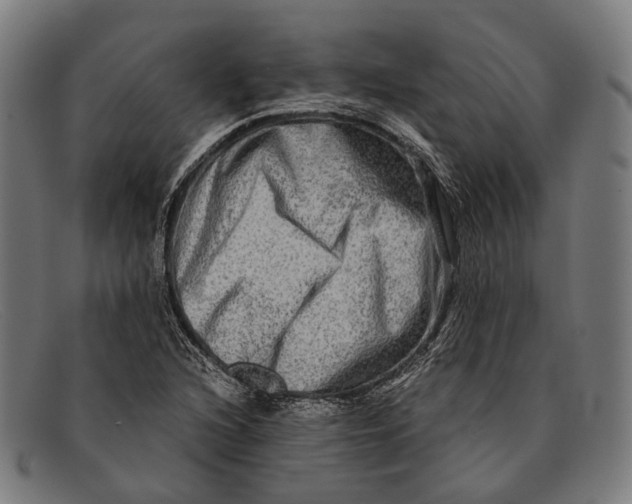 X0000091481216200709131805