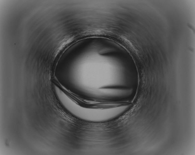 X0000091481218200709131805