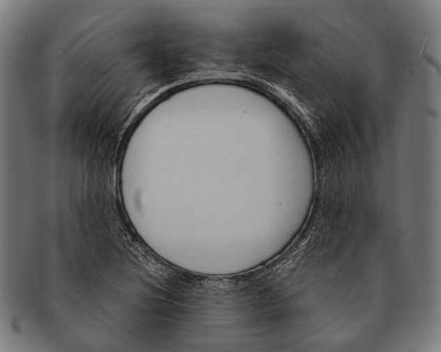 X0000091481220200709131805