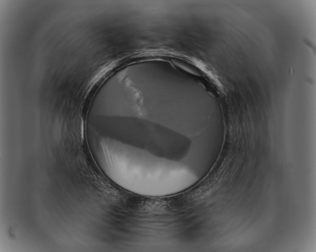 X0000091481221200709131805