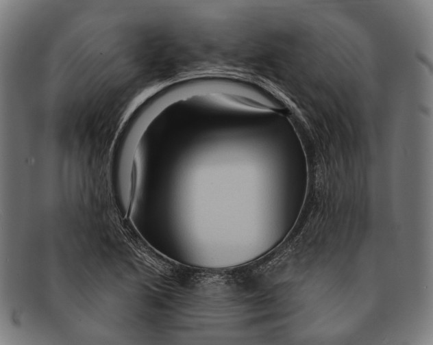 X0000091481222200709131805