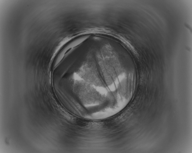 X0000091481224200709131805