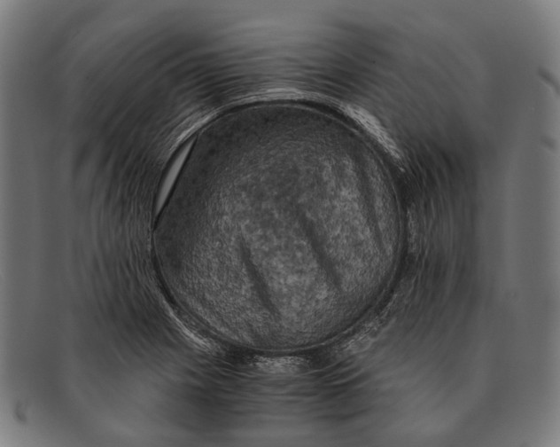 X0000091481225200709131805