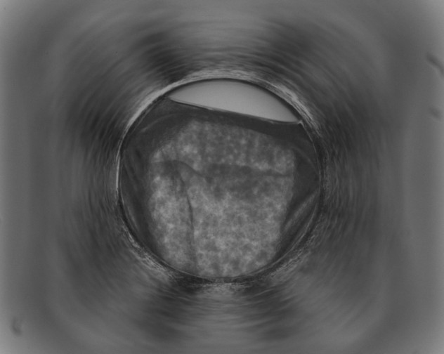 X0000091481228200709131805