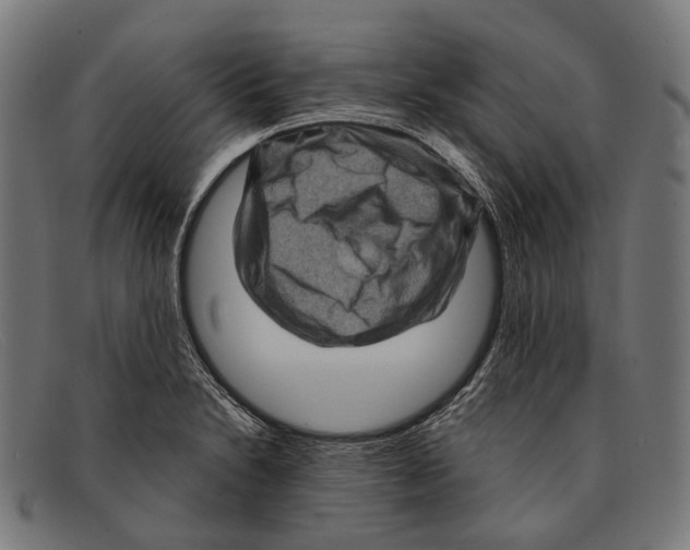 X0000091481230200709131805