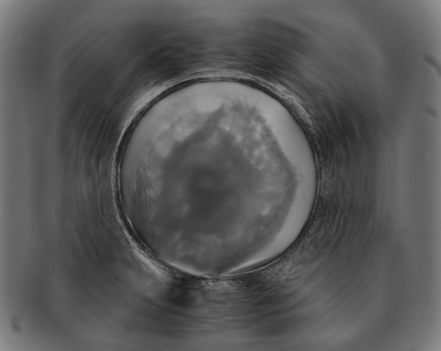 X0000091481231200709131805