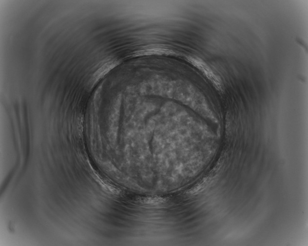 X0000091481233200709131805