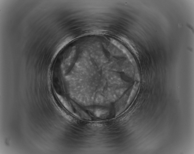 X0000091481235200709131805