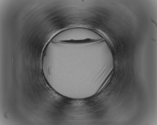 X0000091481236200709131805