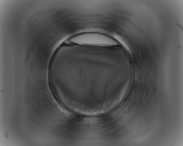 X0000091481237200709131805