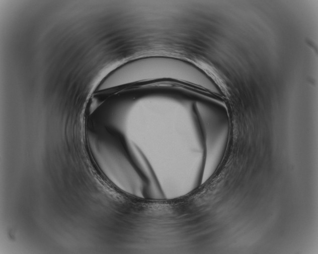 X0000091481238200709131805