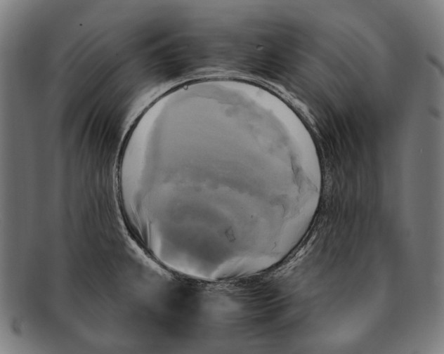 X0000091481239200709131805